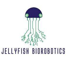 Jellyfish Biorobotics
