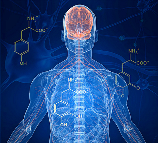 Biomedical Imaging and Signal Processing