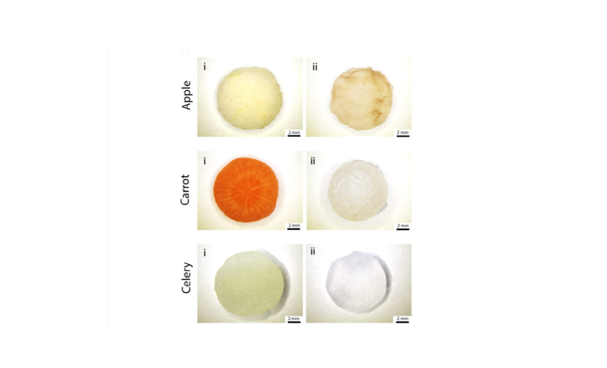 Tejidos vegetales como andamios naturales 3D para la regeneración de tejido adiposo, hueso y tendón