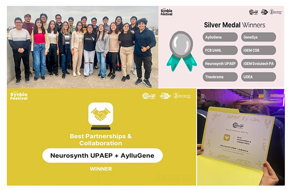 Equipo AylluGene obtiene medalla de plata en iGEM Design League 2023